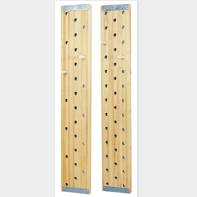Aptitud Peg Board que sube de madera montado en la pared del gimnasio